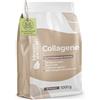 Bloom Naturals Beauty Supplements Collagene Idrolizzato in Polvere 1000g (1 KG) - 15g per Porzione - Alto Dosaggio & Gusto Neutro, Peptidi Tipo 1 & 3 - Peptidi di Collagene - Confezionato in Germania Testato in Laboratorio