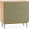 HOMN LIVING Cassettiera Cuzco 3 cassetti, Effetto Rovere/Verde, 80 cm (Larghezza) x 40 cm (profondità) x 80 cm (Altezza)