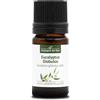 La Compagnie des Sens EUCALIPTO GLOBULUS BIO - 5mL - Olio Essenziale di Qualità Premium - 100% Puro, Naturale, Garantito ChromaCert® - Chemiotipizzato & Integrale