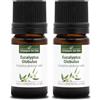 La Compagnie des Sens EUCALIPTO GLOBULUS BIO - 5mL - Olio Essenziale di Qualità Premium - 100% Puro, Naturale, Garantito ChromaCert® - Chemiotipizzato & Integrale (Confezione da 2)