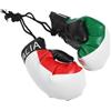 SHOWERORO Portachiavi 1 Paio Guantoni da Boxe Miniatura Bandiera Italiana in Pvc e Cotone di Guanti Decorativi Versatili per Auto e Borse per Idea Regalo per Appassionati di Boxe