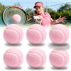 PORFOYO 6 Pezzi Pallines Da Tenniss Elastiche Rosas,Palline Da Tennis Rosas,Palline Da Tennis In Gomma Rosa Per Allenamento E Pratica Sportiva, Principianti,Giocatori,Servizi,Cani,Colori Attraenti,Rosa