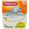 Plasmon omogeneizzato sapori di natura orata 80 gr x 2 pezzi