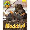 Ruth Owen Wildlife Watchers: Blackbird (Tascabile) Ruby Tuesday Readers
