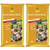 COMPO Naturasol Cactacee, Terriccio per Piante Grasse, Con Sabbia Silicea e Pomice, Sacco 10 L (Confezione da 2)