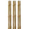 TENAX Tutore Sintetico per Piante, Bamboo Up, Altezza 120 cm, Confezione da 6 pezzi, Colore simil bambù, Sostiene Ortaggi e Fiori, 1,20 m