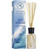 AROMATIKA trust the power of nature Diffusore Profumato per Ambiente Brezza Marina 100ml con 10 Bastoncini di Bambù - Fragranza Intensa e Duratura - Senza Alcool - Aromatizzatore d'Aria per Interni - Reed Diffuser Sea Breese
