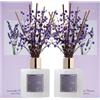 Cocorrína Set di diffusori di alta qualità con respiro preservato del bambino e bastoncini di cotone, lavanda e timo, 2 confezioni, diffusore di oli profumati da 190,9 g, per camera da letto, bagno,