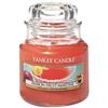 Yankee Candle Candela profumata in giara piccola | Frutto della passione Martini | Durata Fino a 30 Ore