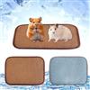 FOSDICK FOSDCIK 2 PCS Tappetino Refrigerante per Coniglio Cani, 30x20cm Piccoli Animali di Raffreddamento Mat, Tappeto Rinfrescante per Cani Gatti in Estate
