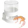 Generico d'Acqua Drago Barbuto | per Bere per Rettili,Abbeveratoio per Tartarughe di Terra,Drago Barbuto Leopardo Tartaruga Lucertola Testuggine Camaleonte Terrario e Recinto Rettili