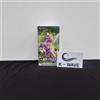 [10 Box] Pokemon card Spada e Scudo Space Juggler Booster Box (coreano)