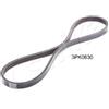 ASHIKA Cinghia Poly-V ASHIKA 112-3PK630
