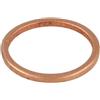 ENGITECH Guarnizione, Portapolverizzatore ENGITECH ENT250488/1