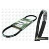 BGA Cinghia Poly-V BGA 3PK798E