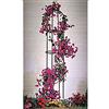 Lifetime Garden 19937 - Obelisco da giardino, supporto a forma di colonna in ferro multicolore, 9,0 x 4,0 x 52,0 cm