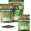 ZenGreens® Semi di broccoli calabrese biologico - Scegli tra 200g e 500g | germogli e microgreens - per barattolo, vassoio e germogliatore a piani - alta germinabilità - raccolta in pochi giorni