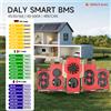 Daly Smart Lifepo4 Scheda BMS 4S 12V 8S 24V16S 48V 3.2V 100A 60A BMS per 18650 BATTERIA PACCHETTO BT UART RS485 Comunicazione CANBUS