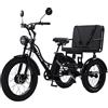 Daibot Potente Triciclo Elettrico a 3 Ruote con Pneumatici Larghi per Adulti, Biposto, 750W, per Montagna e Neve, Bicicletta Elettrica Familiare