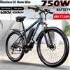 NONE E-BYCCO E8 Bicicletta Elettrica con Motore 750W, Batteria Rimovibile 48V17.5AH, Pneumatici da 29 Pollici, Bici Elettrica per Città e Montagna per Adulti