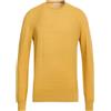 AION - Pullover - Senape