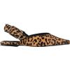 STEVE MADDEN - Ballerine - Cammello