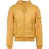 CONTE OF FLORENCE - Giubbotto - Giallo ocra