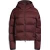 DSQUARED2 - Piumino - Bordeaux