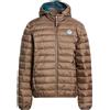 NORTH SAILS - Piumino - Khaki