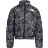 THE NORTH FACE - Piumino - Antracite
