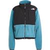 THE NORTH FACE - Giubbotto - Turchese