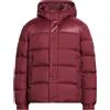 TOMMY HILFIGER - Piumino - Bordeaux