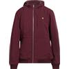 LYLE & SCOTT - Giubbotto - Prugna