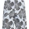 MSGM - Shorts & Bermuda - Celeste