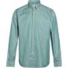 ALESSANDRO GHERARDI - Camicia a righe - Verde