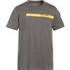 PARAJUMPERS - T-shirt - Grigio