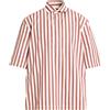 LARDINI - Camicia a righe - Marrone