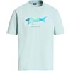 PAUL & SHARK - T-shirt - Turchese