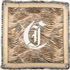 JUST CAVALLI - Sciarpe e foulard - Cammello