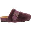 SCHOLL - Mule e zoccoli - Prugna