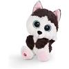 NICI Peluche Glubschis Husky Barkley 15 cm, peluche con grandi occhi glitterati