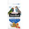 Versele-Laga Nutribird Treats Frutti Patee 250g