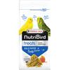 Versele-Laga Nutribird Treats Gold Patee Honey Fusion 250g