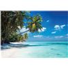 WallArena - Carta da parati fotografica - mare 300x210 cm - Murale fotografico - Per soggiorno e camera da letto - Effetto 3D - con Colla - Natura tropicale