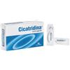FARMA-DERMA Srl Cicatridina Ovuli Vaginali, 10 Pezzi