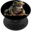 Rane divertenti per gli amanti delle ran Rana Piccolo Rospo Rana Albero Rana Bambino Rana Carino PopSockets PopGrip Adesivo