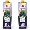 Höllinger Ribes Nero Bio 1000 ml, con vitamina C naturale, da agricoltura biologica, senza additivi artificiali, vegan (Confezione da 2)