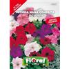 L'ORTOLANO Sementi da fiore di qualità in bustina per uso amatoriale (PETUNIA NANA COMPATTA IN MISCUGLIO)