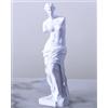A.F.N.A.L Statua di Venere