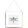 DÉCOCO 20x20cm Cornici fatte in rame Ottone Appeso Galleggiante Oro Geometrico Ornamento Pianta Esemplare Clip Decorazioni verticali moderne Cartoline Artwork Frame Solo cornice in vetro